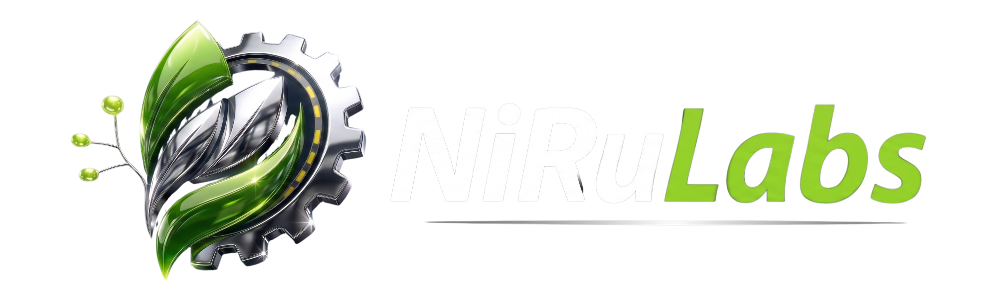 NiRuLogic